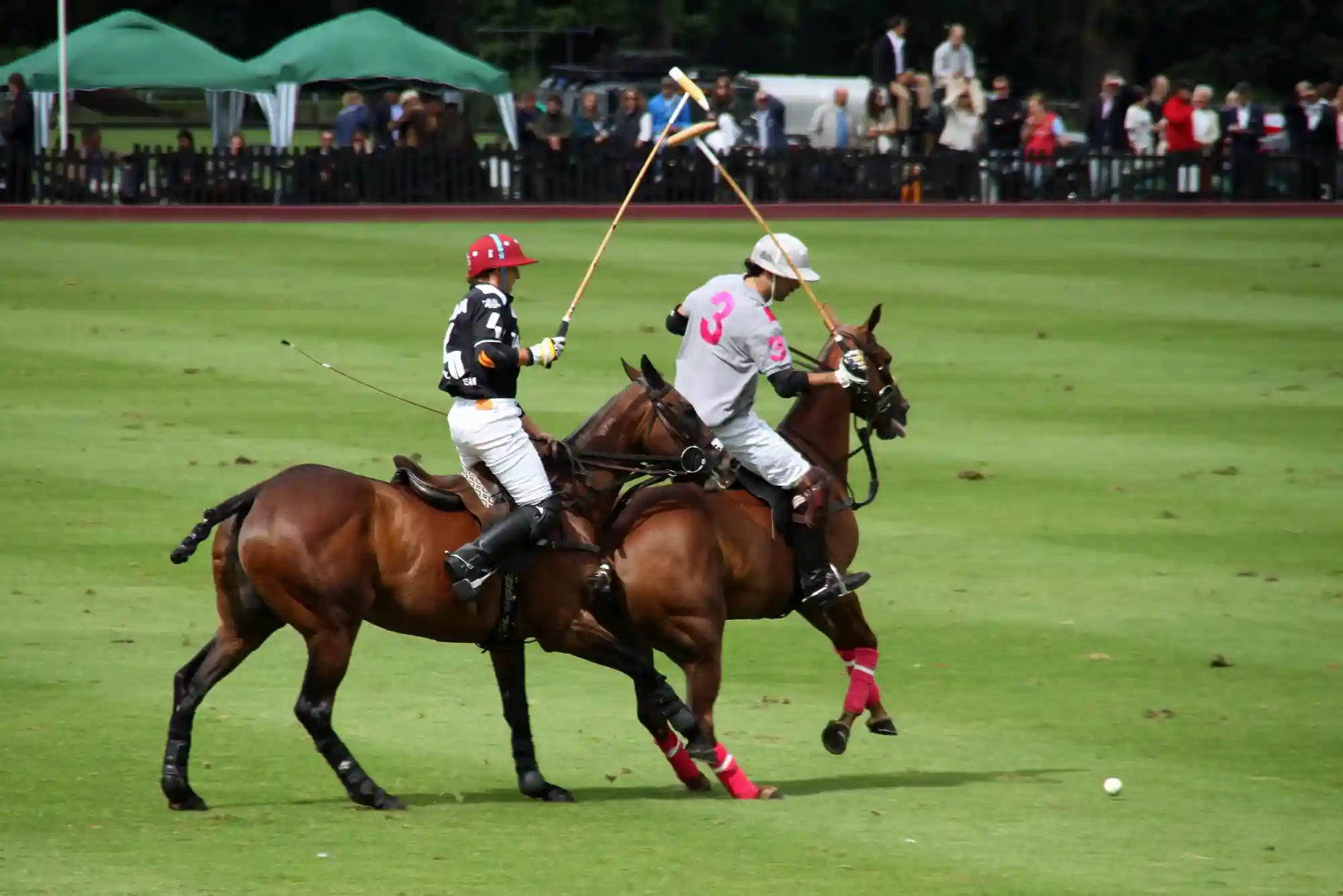 Where Can I Find Safe Horse Racing Betting Sites